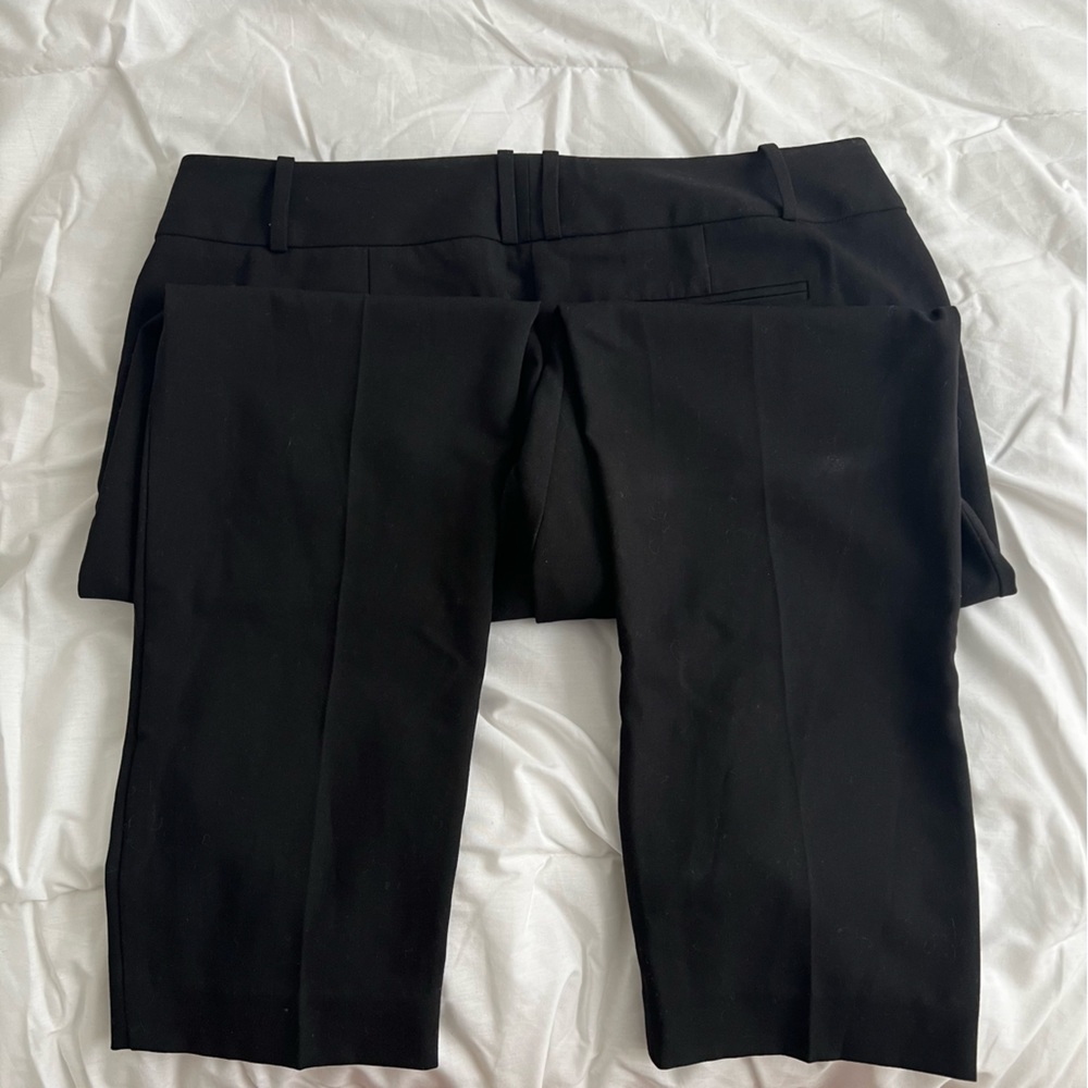 The Limited Dress Pants - Picture 4 of 6